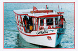 Tauchboot Noronha divers