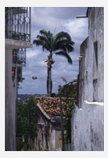 Olinda
