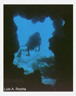 Grotte